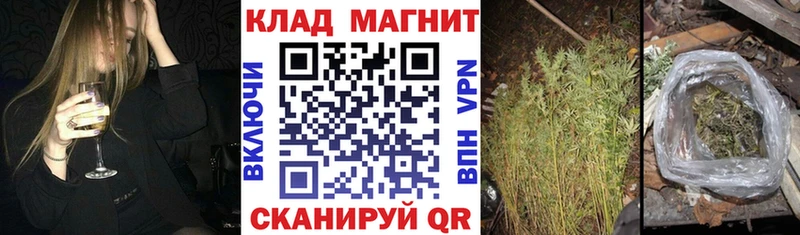 Где купить наркоту Луга A-PVP  Псилоцибиновые грибы  ГАШ  АМФЕТАМИН  МАРИХУАНА  Меф 