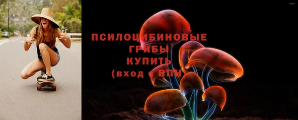 герыч Алексин