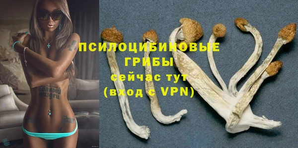 таблы Алзамай