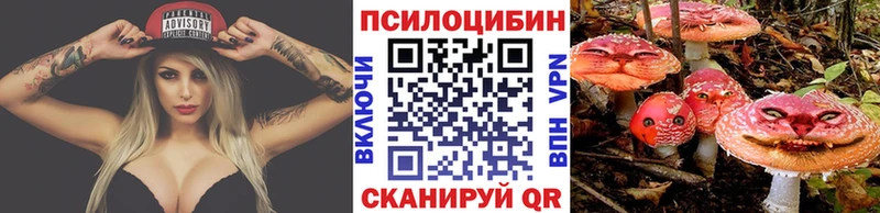Галлюциногенные грибы Psilocybine cubensis Луга